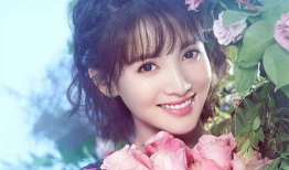 娱乐圈吃瓜公众号金晨,娱乐圈新晋“瓜王”，揭秘明星幕后故事